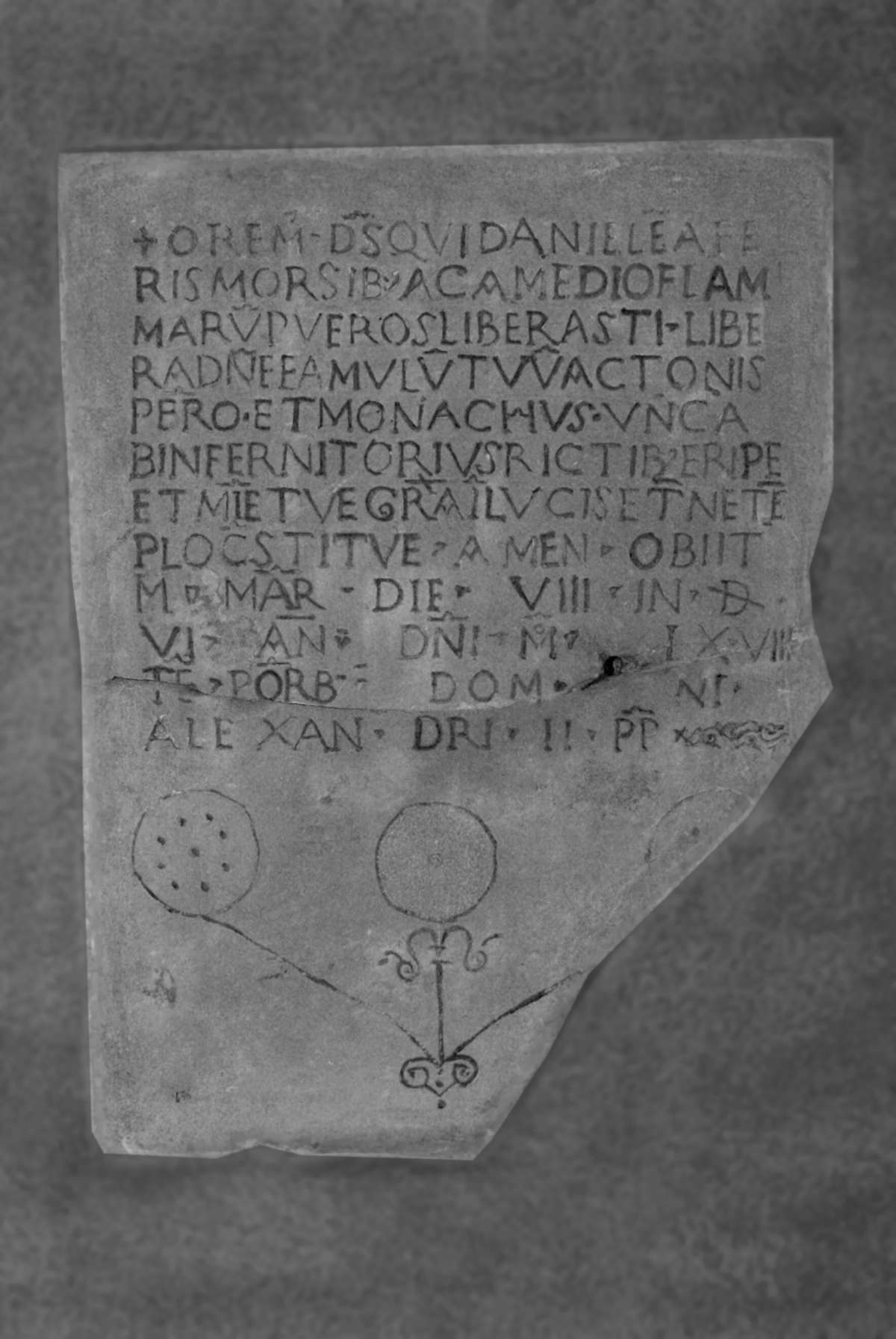 Bd_3_446.jpg